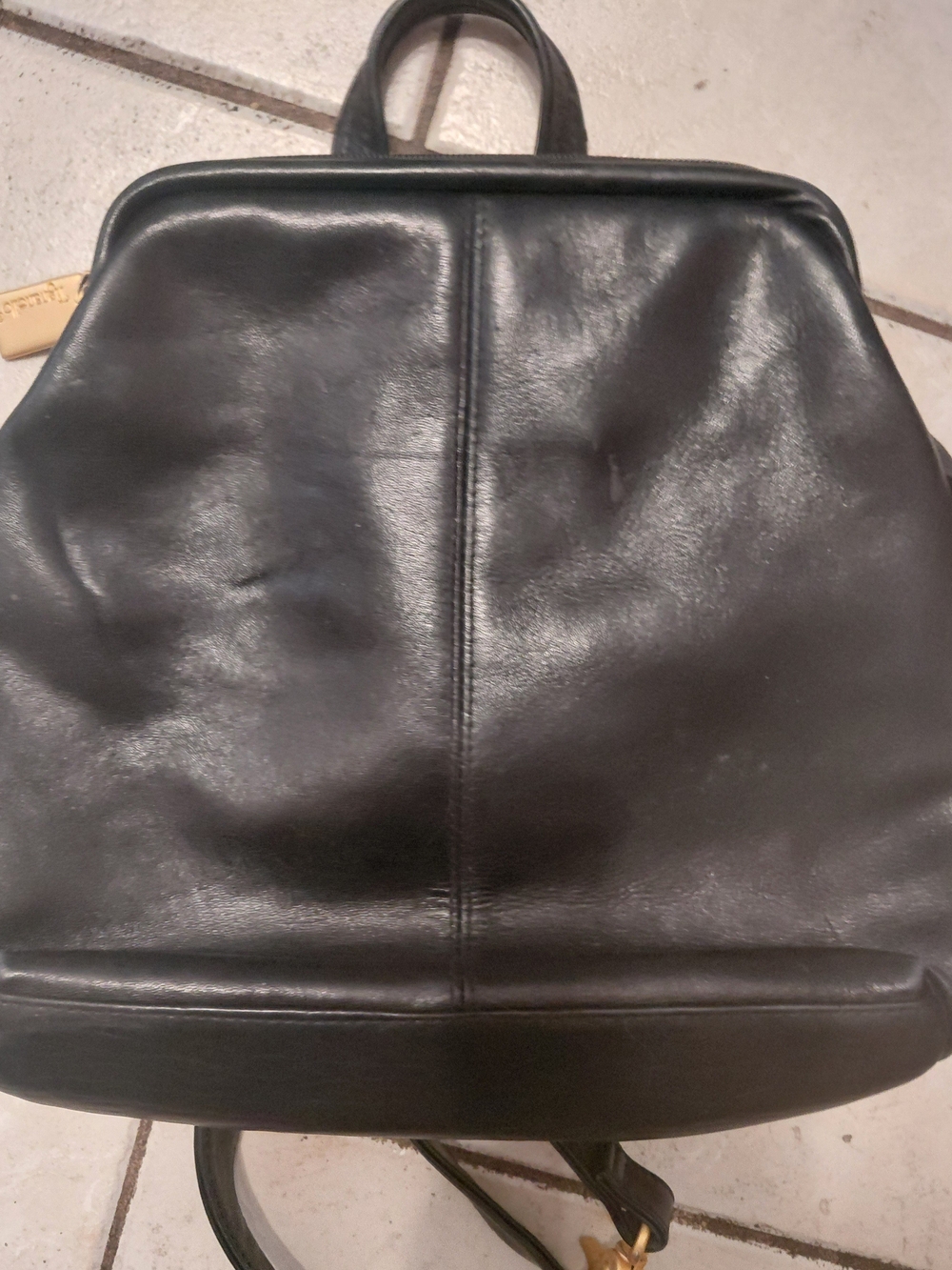 Tignanello Black Leather Backpack